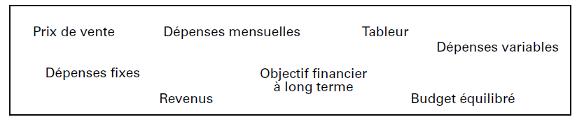 Différents termes peuvent être utilisés par les élèves pour créer un plan budgétaire. -Prix de vente  -Dépenses mensuelles  -Feuille de calcul  -Dépenses variables   -Dépenses fixes  -Revenus  -Objectif financier à long terme  -Budget équilibré 