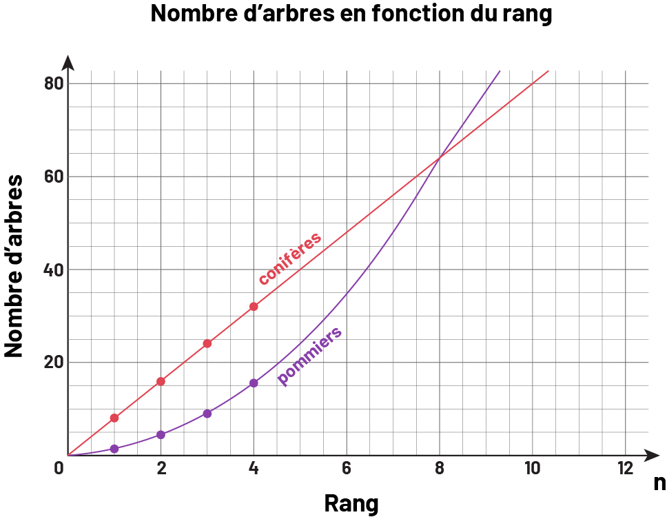 Un graphique représente la relation entre le rang de la figure et le nombre d'arbres. Le nombre de conifères est représenté par une ligne linéaire rouge. Le nombre de pommiers est représenté par une ligne exponentielle bleue.