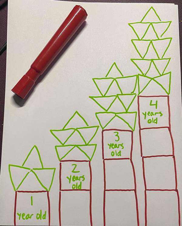 A drawing of an increasing pattern of tree growth and their age.