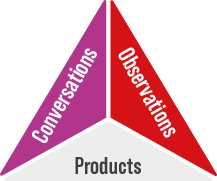 Evaluation inforgraphic: Conversation, observations, products.