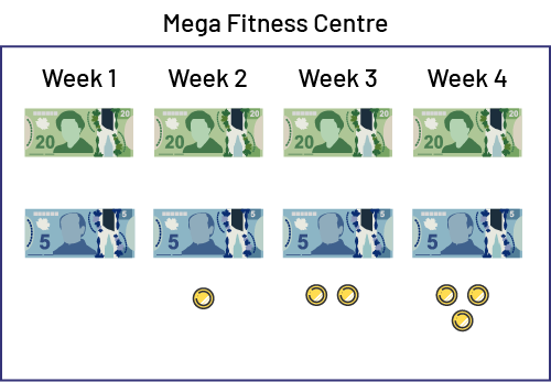 money spent for membership plans and classes taken at Mega Fitness Centre and Extra Fitness Centre.