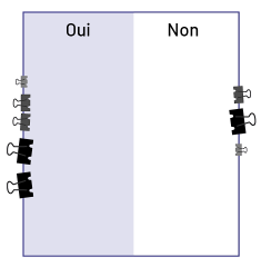 Diagramme divisé en deux, soit Oui et Non. Du côté du Oui, on trouve cinq pince-notes de grandeur différente et du côté du Non, on en trouve trois.