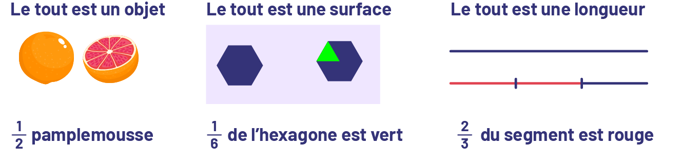 Le tout est un objet. Un pamplemousse en entier et un demi-pamplemousse.Le tout est une surface. Un hexagone, et un sixième de l’hexagone est verts.Le tout est une longueur. Un segment. 3 tiers du segment est rouges.