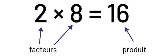 Dans l’équation deux fois huit égale 16, deux et huit sont les facteurs, et 16 est le produit. 