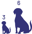 Deux silhouettes de chien sont placées côte à côte. La première est petite et il y a le chiffre trois au-dessus. La deuxième est grande et il y a le chiffre six au-dessus. 