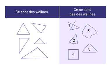 Tableau de 2 colonnes. La première colonne: « sont des walines. » La deuxième colonne: «Ce ne sont pas des walines. »