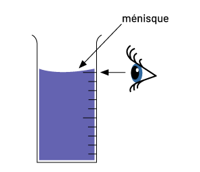 Il y a une éprouvette remplie. À côté de l’éprouvette, il y a un œil à partir duquel une flèche pointe l’éprouvette. Au-dessus de l’éprouvette est écrit: ménisque. De ménisque, il y a une flèche qui pointe vers la courbure concave du liquide dans l’éprouvette.
