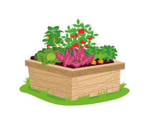 A garden container.